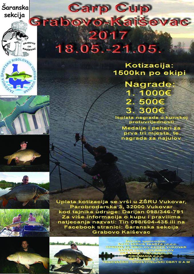 carp cup poster